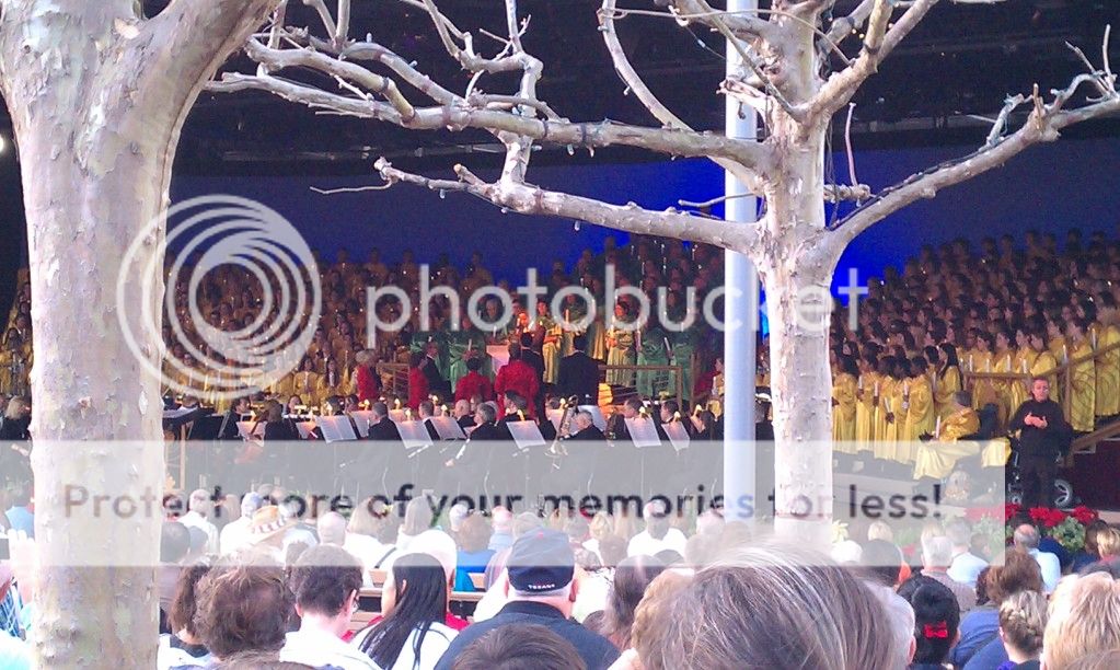 MousePad - Trip Reports from Florida